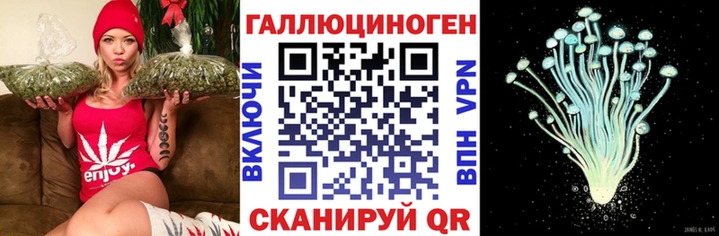 Псилоцибиновые грибы GOLDEN TEACHER  где можно купить наркотик  Новомичуринск 